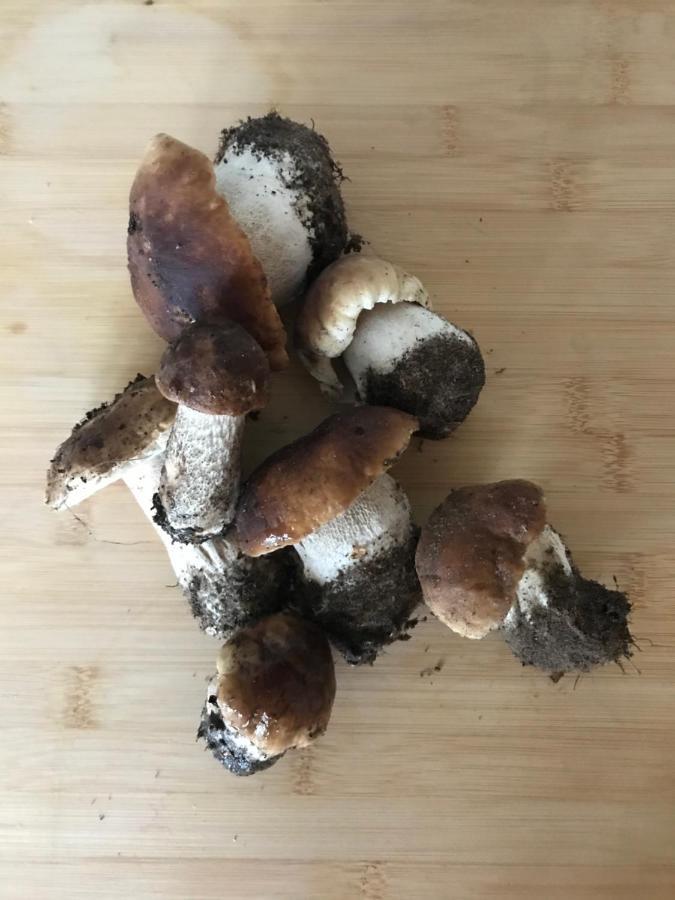 Mazurska Stodola Na Polwyspie Pilchowskim Pilchy Exterior foto